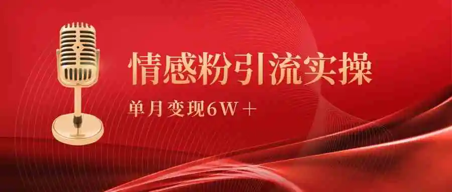 （9473期）单月变现6w+，情感粉引流变现实操课插图