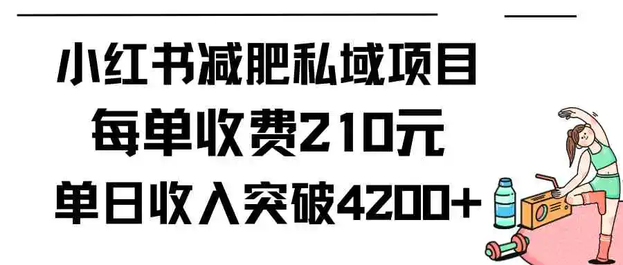 （9466期）小红书减肥私域项目每单收费210元单日成交20单，最高日入4200+插图