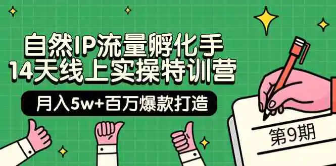 （9881期）自然IP流量孵化手 14天线上实操特训营【第9期】月入5w+百万爆款打造 (74节)插图