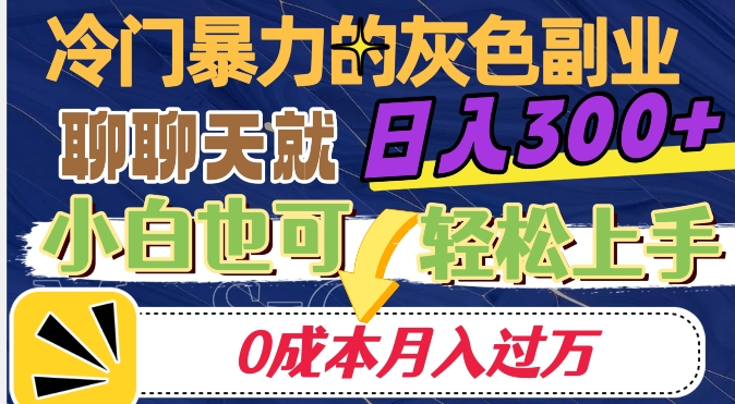 冷门暴利的副业项目，聊聊天就能日入300 ，0成本月入过万【揭秘】