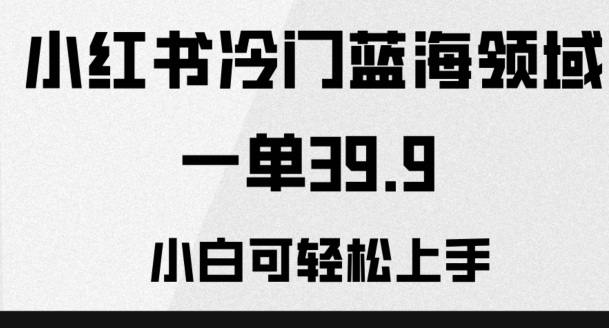 小红书冷门蓝海领域，一单39.9，小白可轻松上手