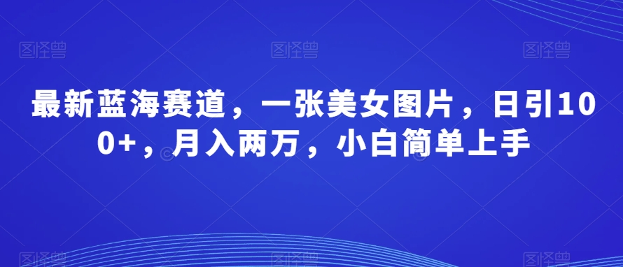 最新蓝海赛道，一张美女图片，日引100 ，月入两万，小白简单上手