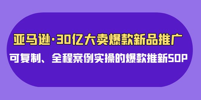 图片[1]-亚马逊平台30亿热销爆品新品推广，复制推广、全过程实例实际操作的爆款上新SOP-暖阳网-优质付费教程和创业项目大全