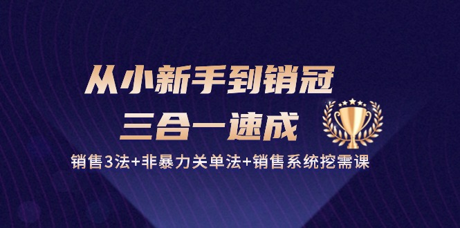 图片[1]-从小新手到销冠三合一速成：销售3法+非暴力关单法+销售系统挖需课 (27节)