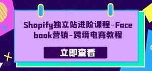 图片[1]-Shopify自建站升阶课程内容-Facebook营销推广-跨境电子商务实例教程-中创网_分享创业资讯_最新网络项目资源_中赚