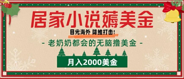 居家小说薅美金，拆解海外撸美金项目月入2000美刀详细指导