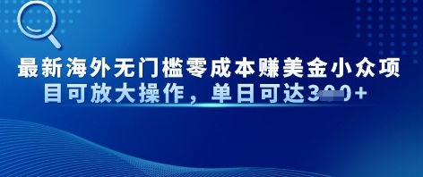 最新海外无门槛美金小众项目可放大操作，单日可达3张