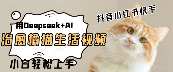 疯狂火爆，用Deepseek+AI做治愈橘猫系列视频，小白轻松制作+快速拿到结果