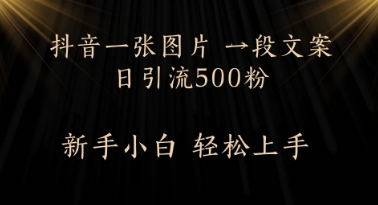 每天2分钟，抖音一张图片 一段文案日引流500粉