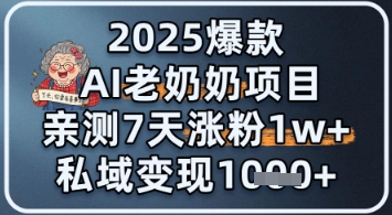 2025爆款 AI 老奶奶项目：亲测 7 天涨粉 1W ，私域变现 1k 