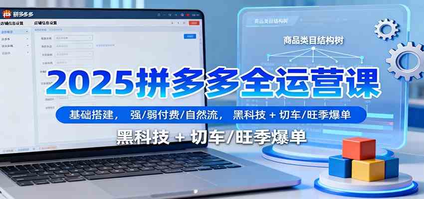 2025拼多多全运营课:基础搭建,强/弱付费/自然流,黑科技 + 切车/旺季爆单-网创资源大全