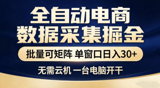 独家电商数据全自动采集项目，批量可矩阵，单窗口轻松日入3张+【揭秘】-网创资源大全