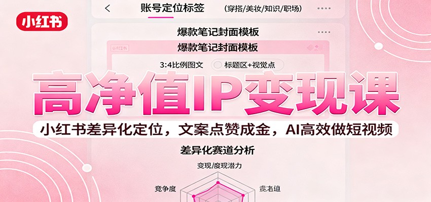 高净值IP变现课:小红书差异化定位,文案点赞成金, AI高效做短视频-网创资源大全