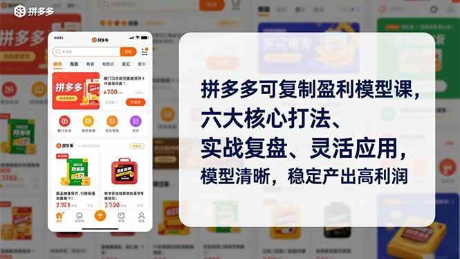 （16952期）拼多多可复制盈利模型课，六大核心打法、实战复盘、灵活应用，模型清晰，稳定产出高利润-网创资源大全