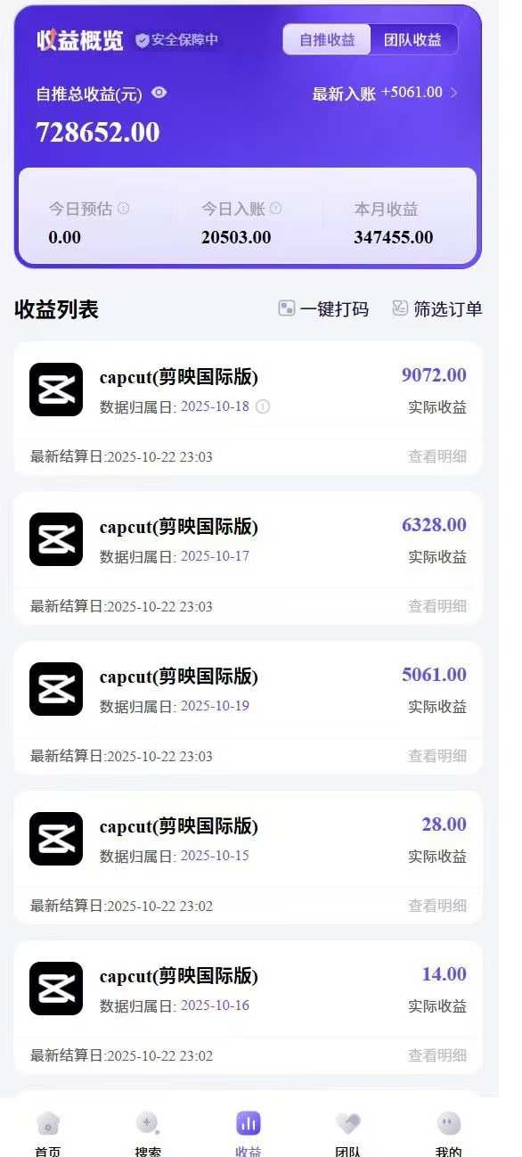 2025风口TK剪映capcut拉新项目,极限高客单,市场空白,2025下半年真正的蓝海项目-网创资源大全