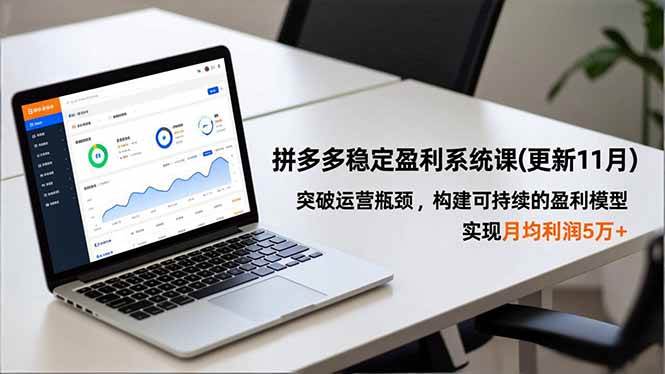 （16641期）拼多多稳定盈利系统课(更新11月)，突破运营瓶颈，构建可持续的盈利模型，实现月均利润5万+-网创资源大全