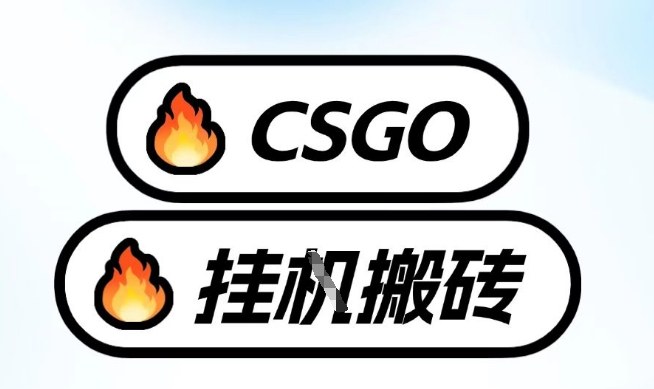 真全网独家CSGO挂G，最新玩法,单日捡漏1K+，不用电脑，不用打游戏【揭秘】-网创资源大全