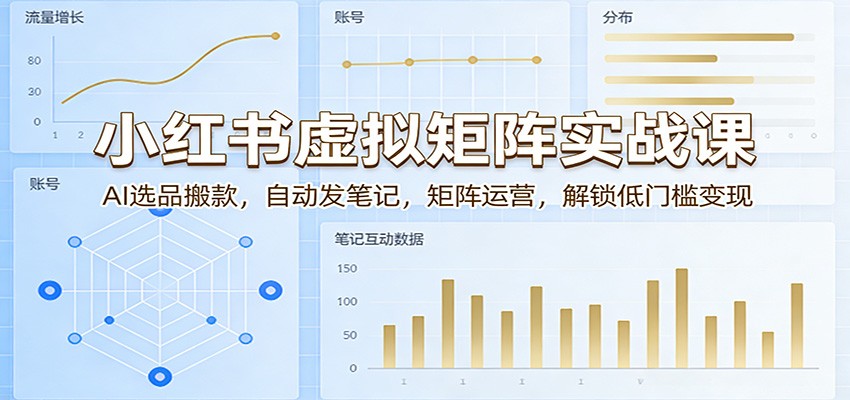 小红书虚拟矩阵实战课：AI选品搬款，自动发笔记，矩阵运营，解锁低门槛变现-网创资源大全