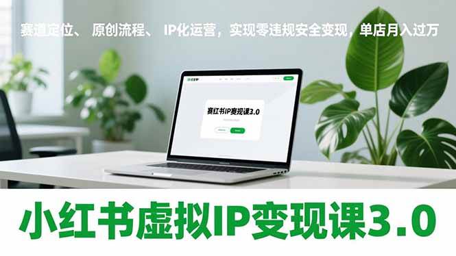 （17029期）小红书虚拟IP变现课3.0，赛道定位、原创流程、IP化运营，实现零违规安全变现，单店月入过万-网创资源大全