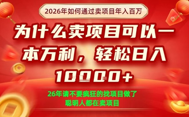 一单净利润1K+，26年想年入100个W，死磕卖项目就够了【揭秘】-网创资源大全