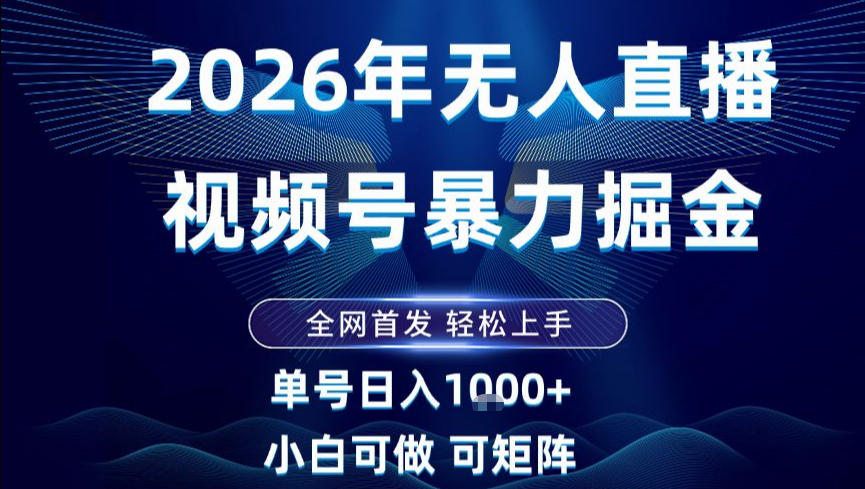 2026最新视频号无人直播掘金，全网首发，小白可以玩，长期稳定日入1k+【揭秘】-网创资源大全