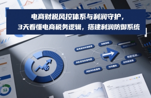 电商财税风控体系与利润守护，3天看懂电商税务逻辑，搭建利润防御系统-网创资源大全