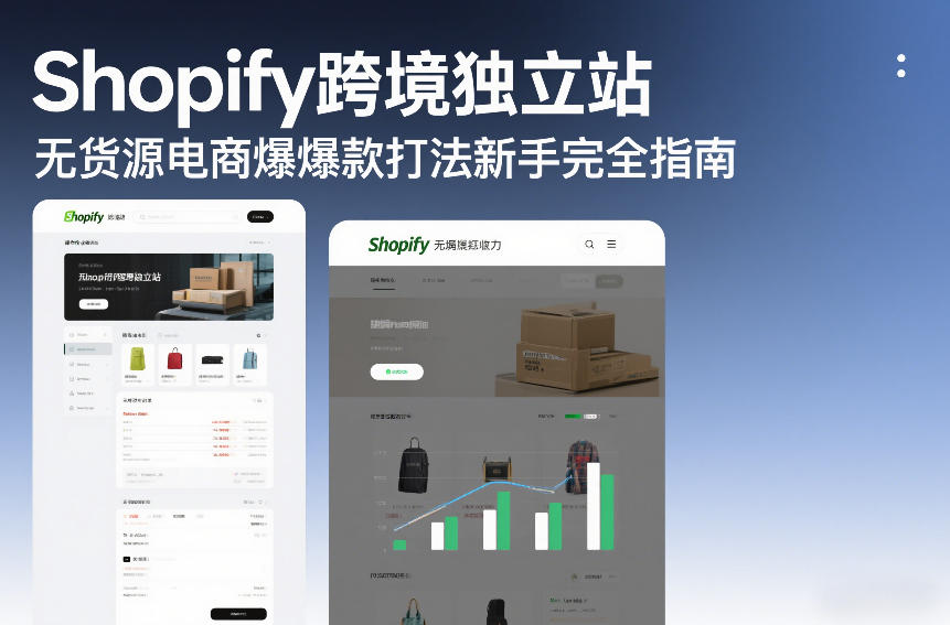 Shopify跨境独立站无货源电商爆款打法新手完全指南-网创资源大全