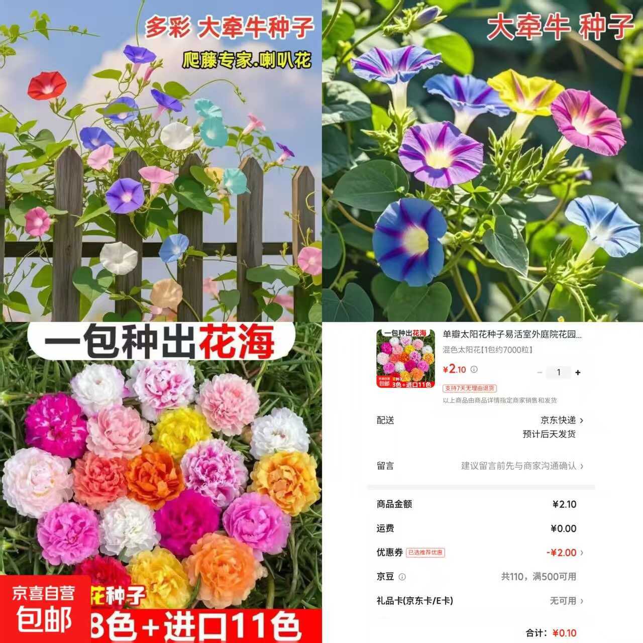 京东0.1太阳花种子约7000粒-网创资源大全