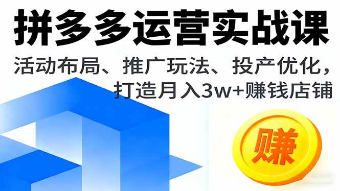 图片[1]-（16135期）拼多多运营实战课，活动布局、推广玩法、投产优化，打造月入3w+赚钱店铺-网创资源大全
