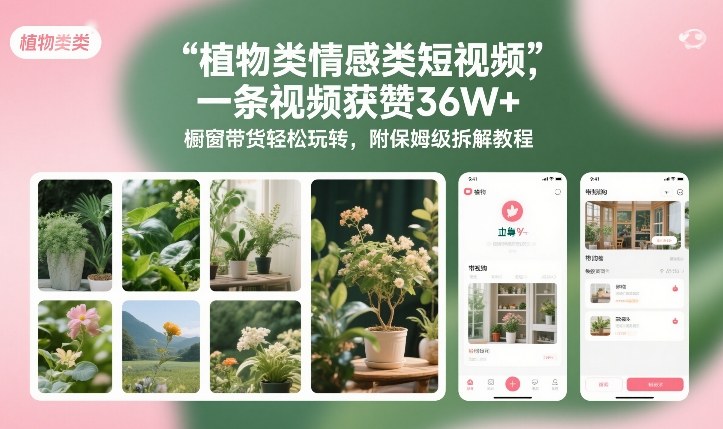 植物类情感类短视频，一条视频获赞36W+，橱窗带货轻松玩转，附保姆级拆解教程-网创资源大全