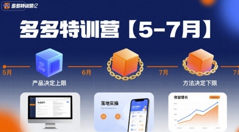 多多特训营,产品决定上限,方法决定下限,各种玩法技巧落地实操(更新)-网创资源大全