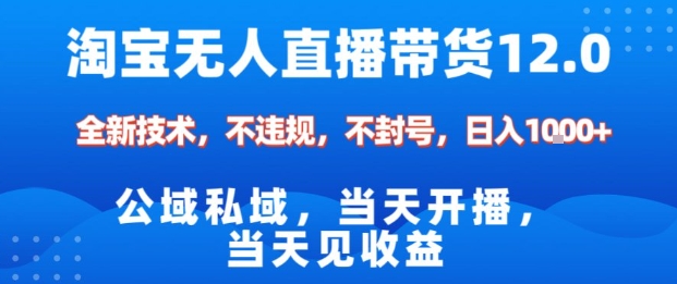 淘宝无人直播12.0，公域私域技术，不封号，不违规布局双十一流量风口，日入1k（独家技术）【揭秘】-网创资源大全