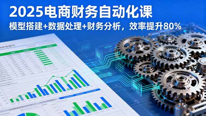 图片[1]-（16021期）2025电商财务自动化课，模型搭建+数据处理+财务分析，效率提升80%-网创资源大全