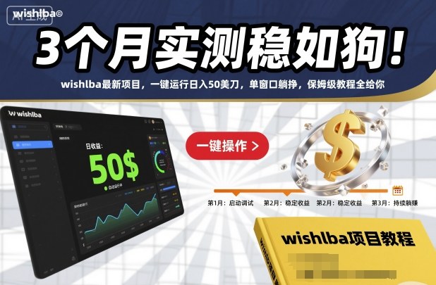 3个月实测稳如狗!wishlba最新项目,一键运行日入50美刀,单窗口躺挣,保姆级教程全给你【揭秘】-网创资源大全