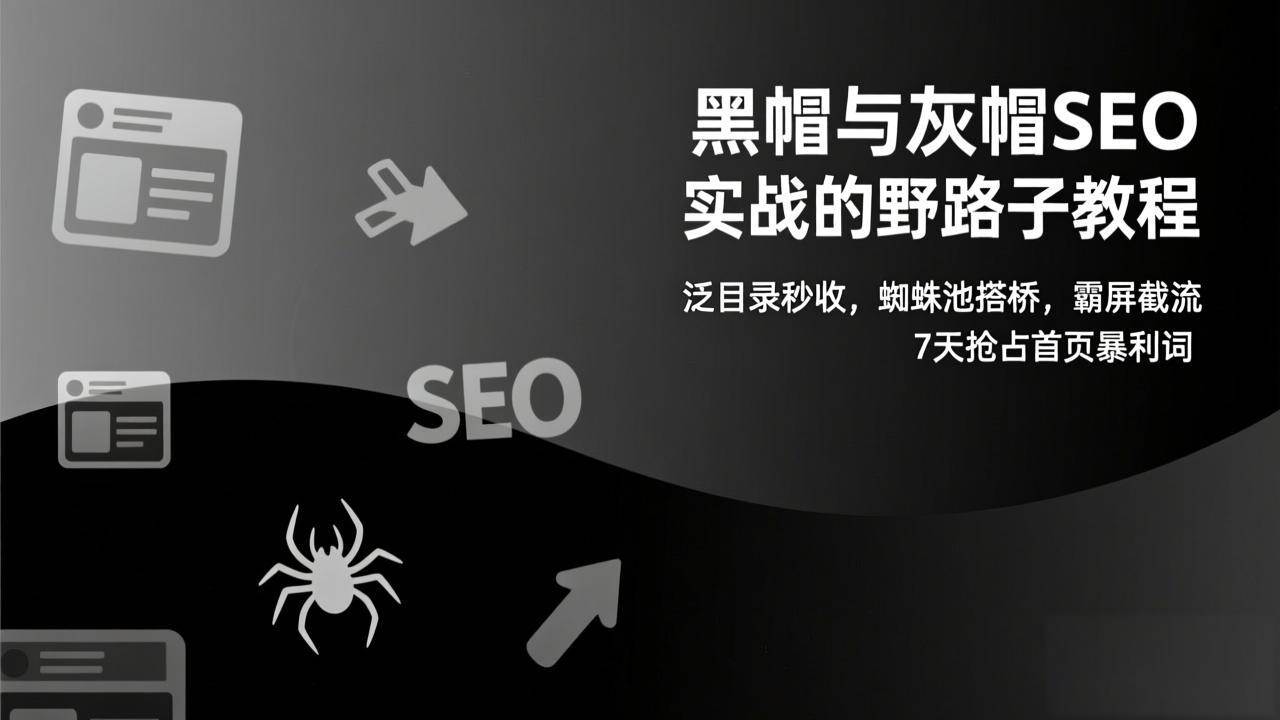 （17125期）黑帽与灰帽SEO实战的野路子教程：泛目录秒收，蜘蛛池搭桥，霸屏截流，7天抢占首页暴利词-网创资源大全