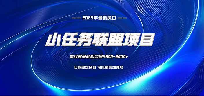 (16521期)小任务联盟项目:一台电脑每天只需10分钟,轻松简单稳定-网创资源大全