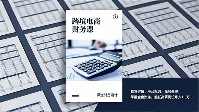 （17036期）跨境电商财务课，核算逻辑、平台规则、账务处理，掌握全盘账务，胜任高薪岗位月入1.5万+-网创资源大全