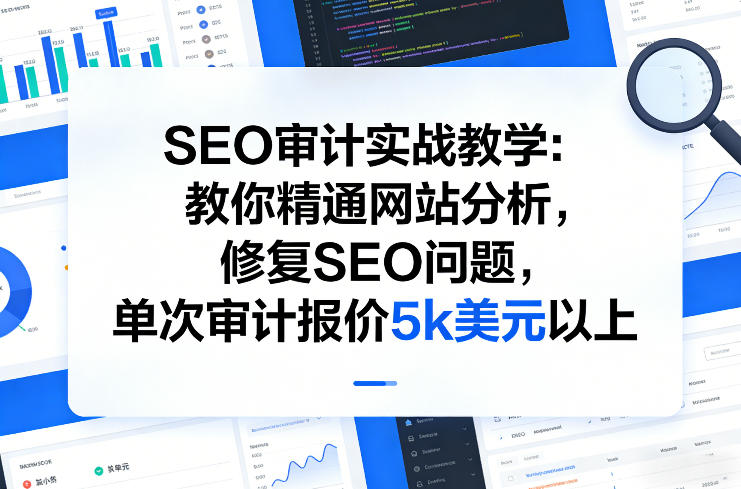 SEO审计实战教学：教你精通网站分析，修复SEO问题，单次审计报价5k美元以上-网创资源大全
