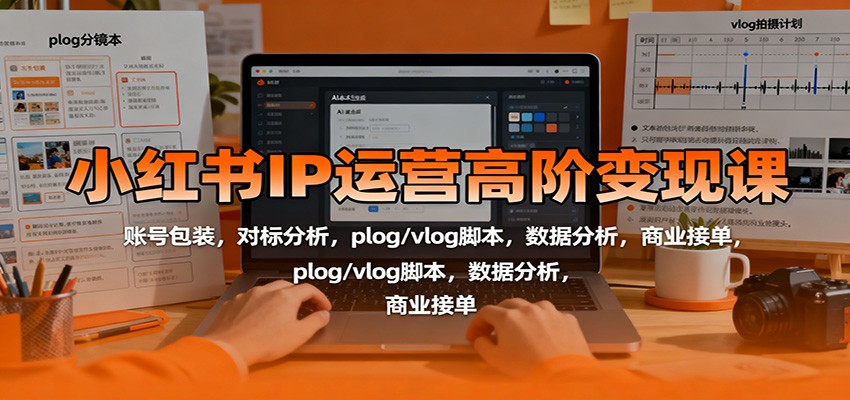 小红书IP运营高阶变现课:账号包装,对标分析,plog/vlog脚本,数据分析,商业接单-网创资源大全