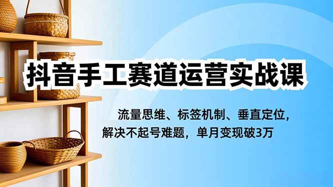 （16667期）抖音手工赛道运营实战课，流量思维、标签机制、垂直定位，解决不起号难题，单月变现破3万-网创资源大全
