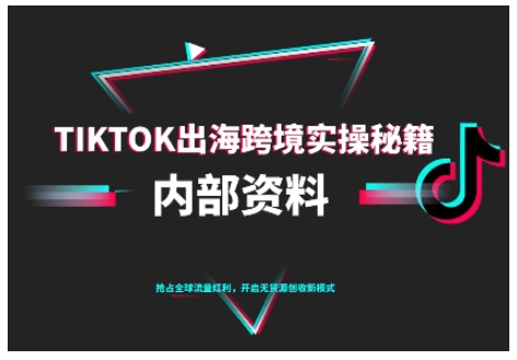 TikTok跨境电商0-1搭建运营,TK出海跨境实操秘籍(10月更新)-网创资源大全
