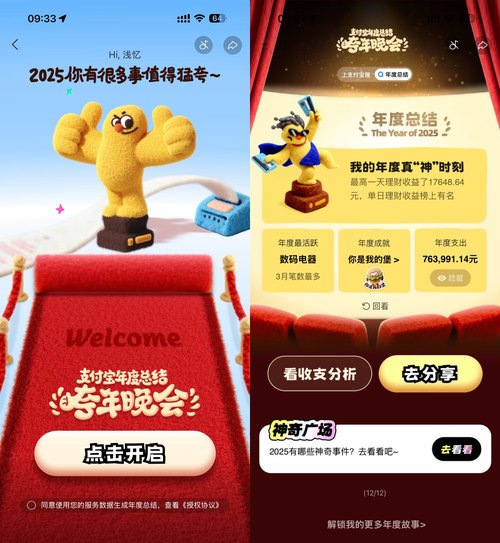 支付宝查看2025年的年度报告