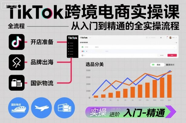TikTok跨境电商实操课，从入门到精通的全实操流程-网创资源大全