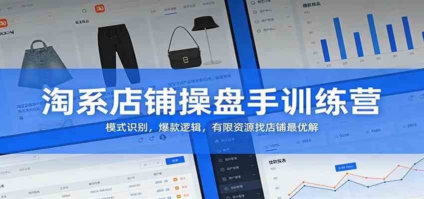 淘系店铺操盘手训练营:模式识别,爆款逻辑,有限资源找店铺最优解-网创资源大全