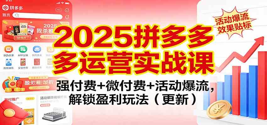 2025拼多多运营实战课:强付费+微付费+活动爆流,解锁盈利玩法(更新)-网创资源大全