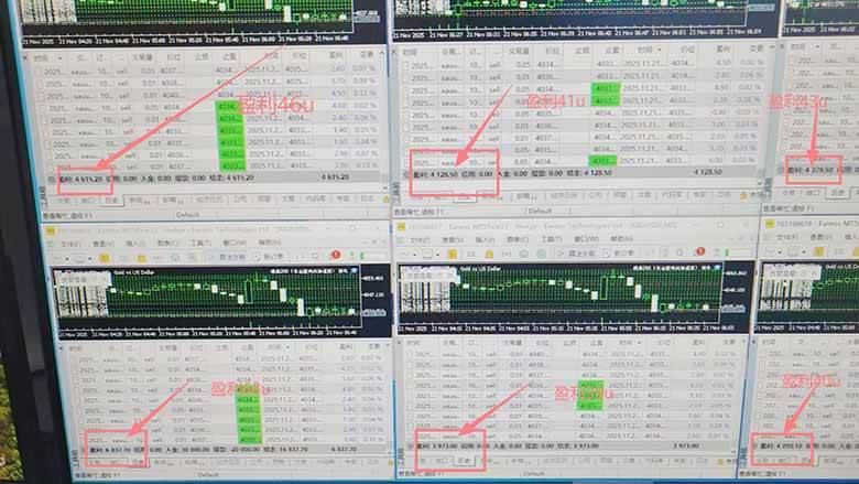 （16653期）2025超前美金自动量化！单人单日收益1000+，线下学习，支持实地考察-网创资源大全