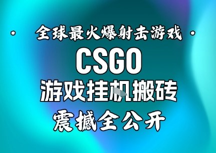 【年底大揭秘】基于全球最火爆的射击CSGO游戏挂G搬砖，日入5张+，震撼公开-网创资源大全