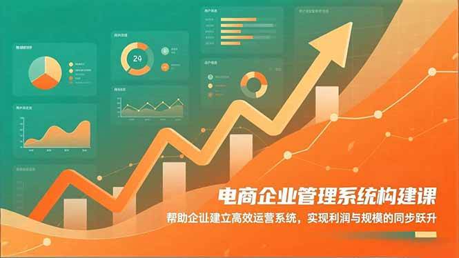 （16643期）电商企业管理系统构建课：帮助企业建立高效运营系统，实现利润与规模的同步跃升-网创资源大全