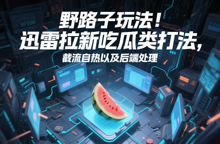 野路子玩法!迅雷拉新吃瓜类打法,截流自热以及后端处理-网创资源大全