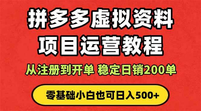 图片[1]-（16220期）拼多多开店运营课程： 蓝海变现玩法，轻松实现睡后收入 零基础小白也可…-网创资源大全